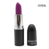 2019 New Sexy Color Beauty Red Lips Baton Matte Velvet Lip Stick Waterproof Makeup Pigment Brown Nude Matte Lipstick Pencils